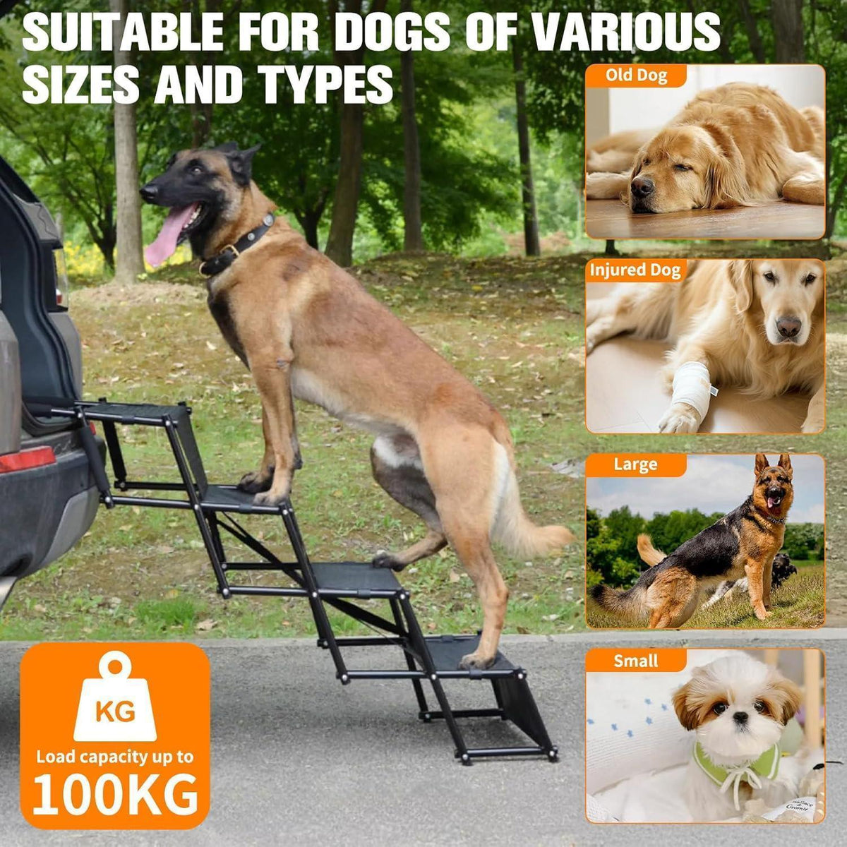 Hundetreppe Auto Klappbar – 5 Stufen, 44-72cm Höhe