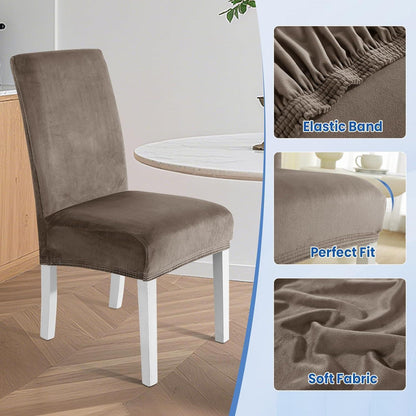 Samt Stuhlhussen 6er Set – Stretch, Waschbar & Kratzfest