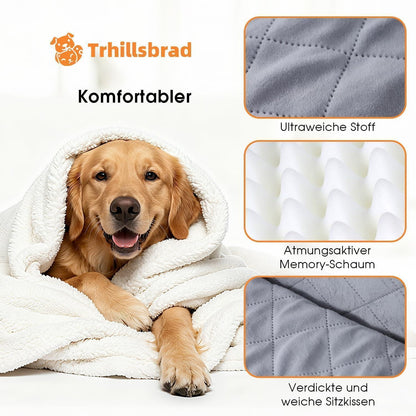 Hundesitz Auto – Komfortabel & Sicher für Mittelgroße Hunde