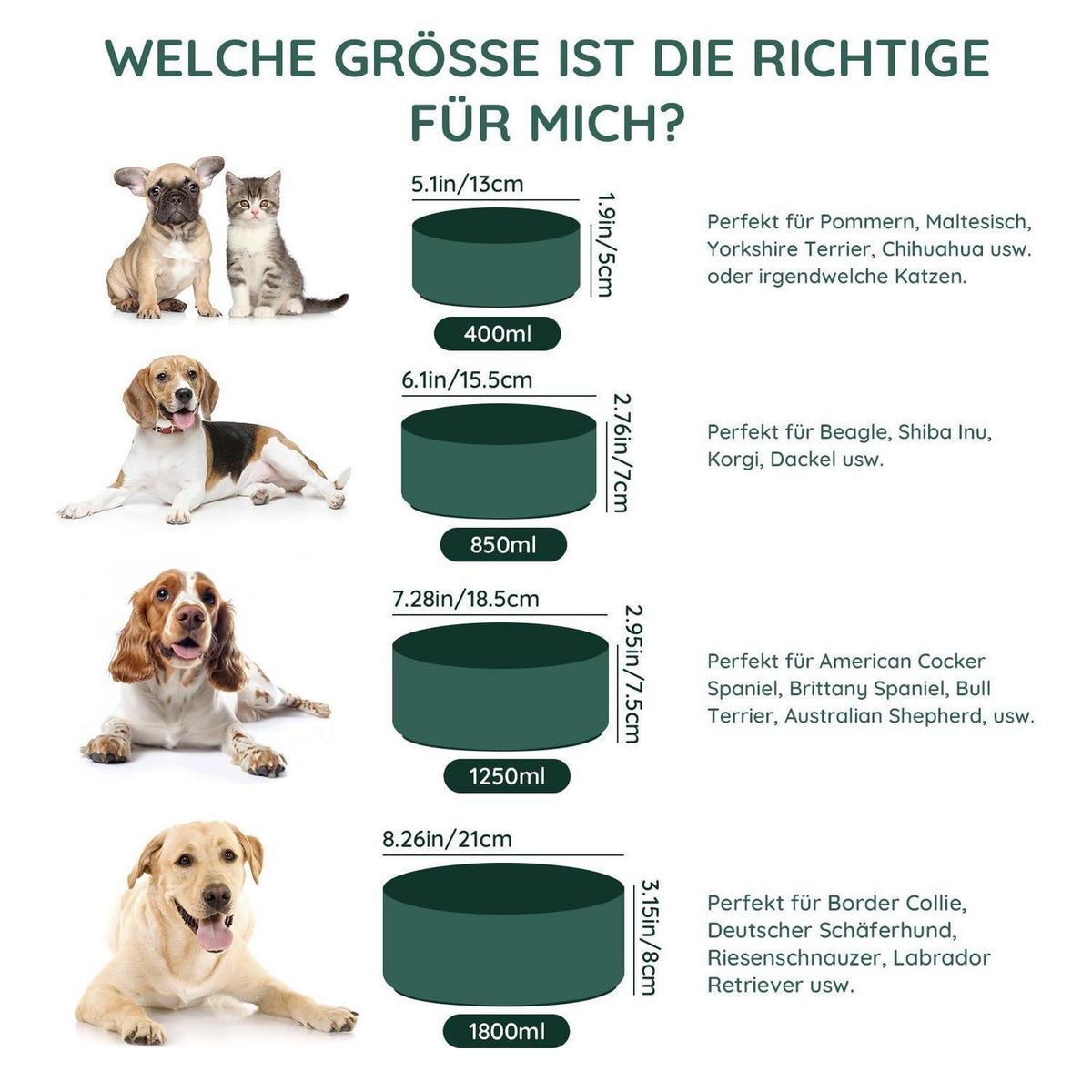 Keramik Hundenapf 850ml Grün – Stabil & Leicht zu Reinigen