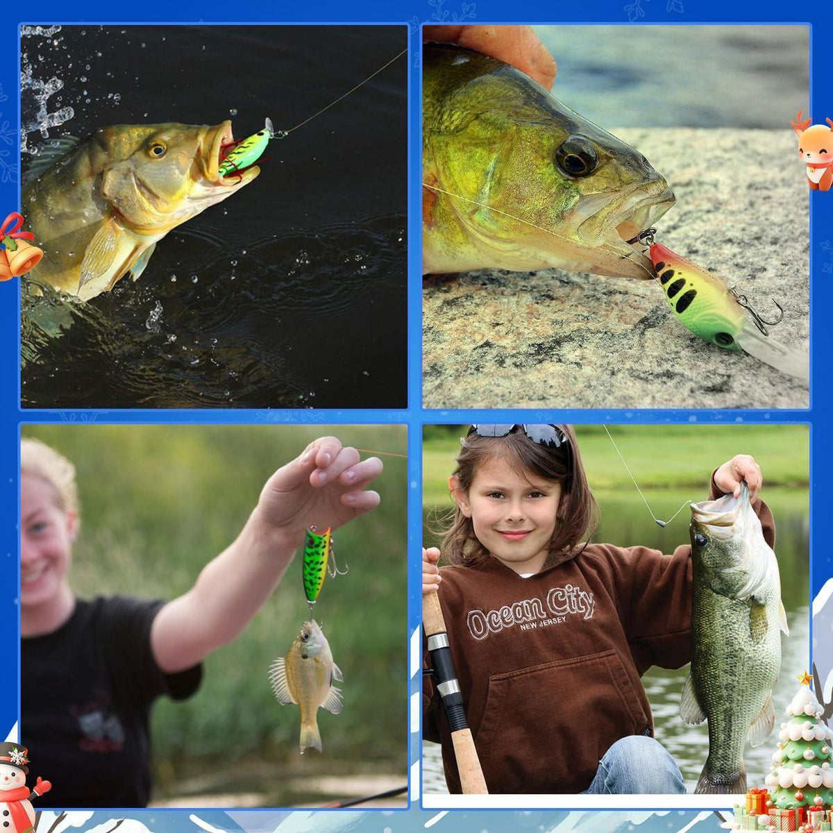 Adventskalender für Angler 2026 – 24 Premium Angelzubehör