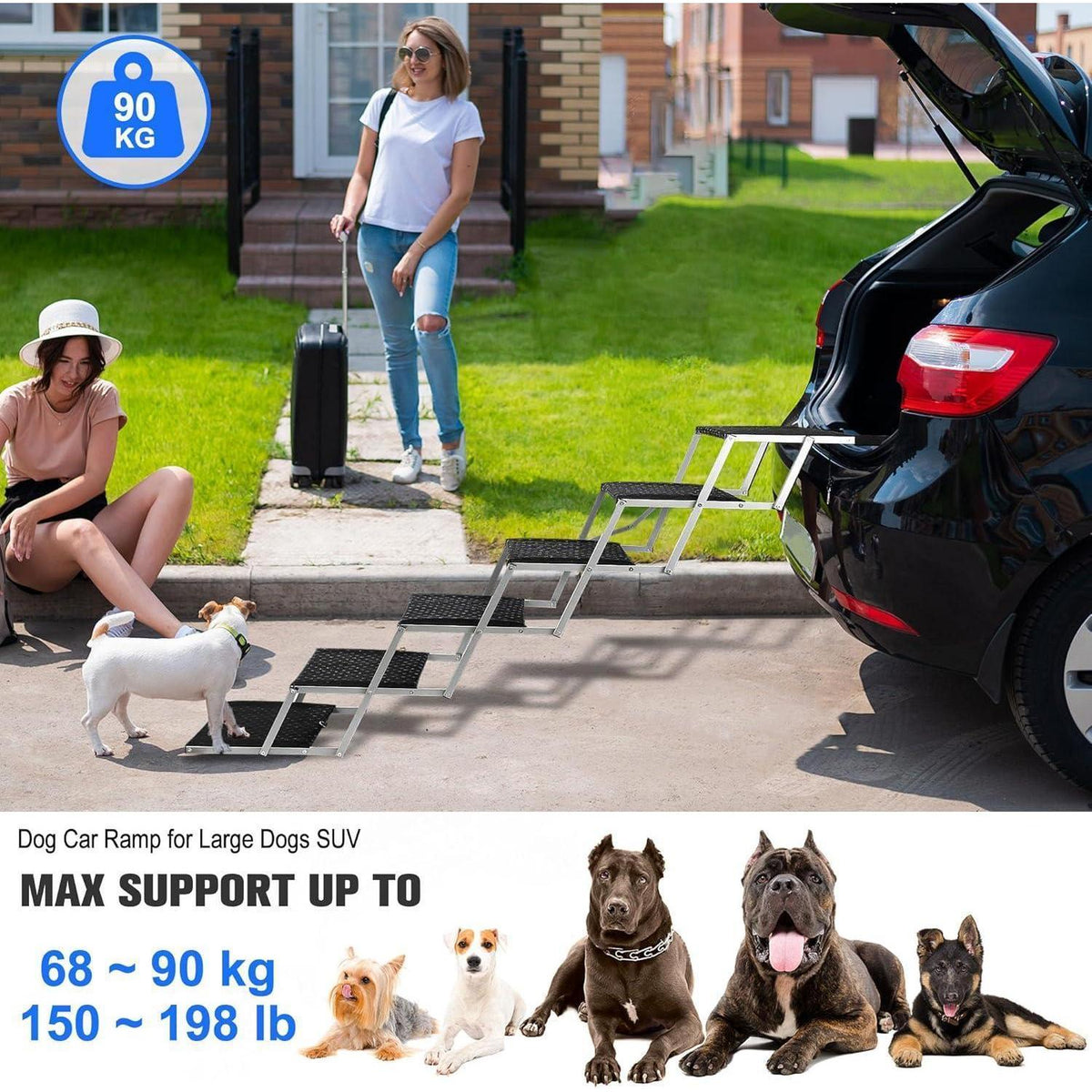 Hundetreppe Klappbar – Gelenkschonende Einstiegshilfe Auto SUV