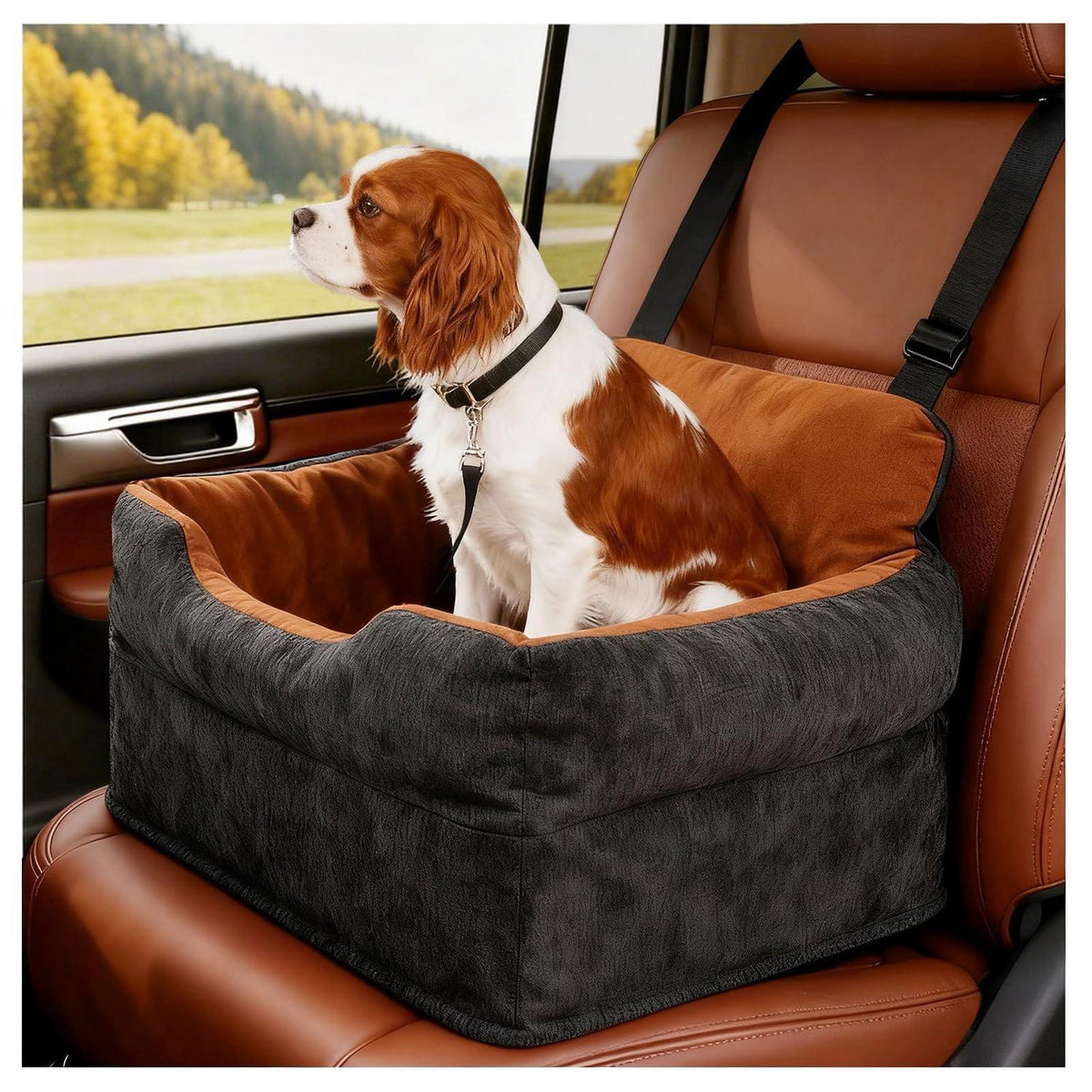 Hunde Autositz gepolstert – Sicherer Reisekomfort für kleine Hunde