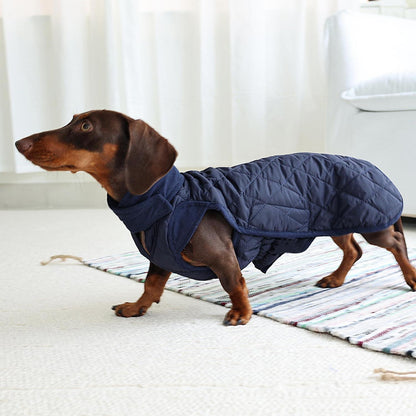 Dackel Wintermantel wasserdicht & winddicht – Beige S
