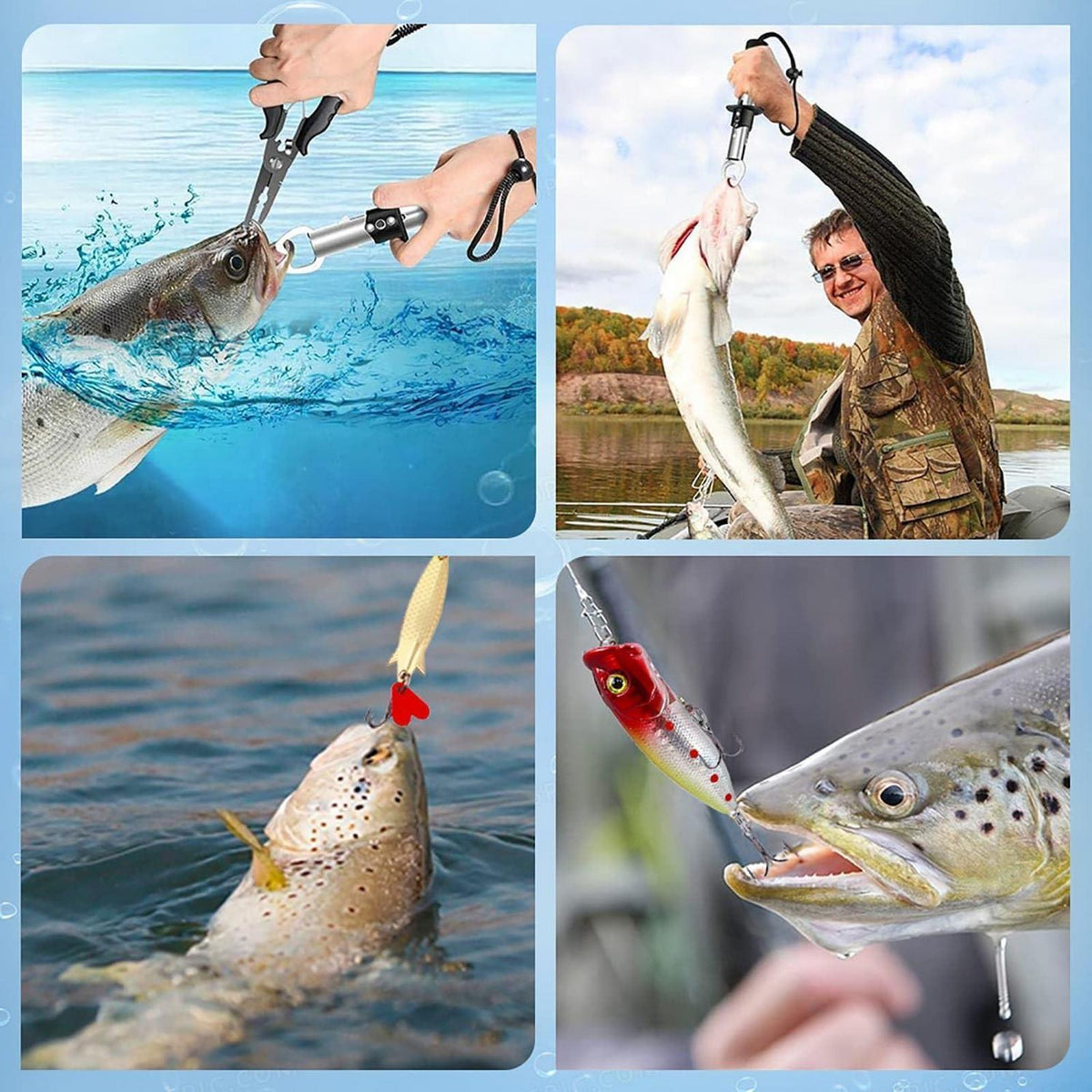 Fischerei Adventskalender 2026 für Angler & Weihnachten