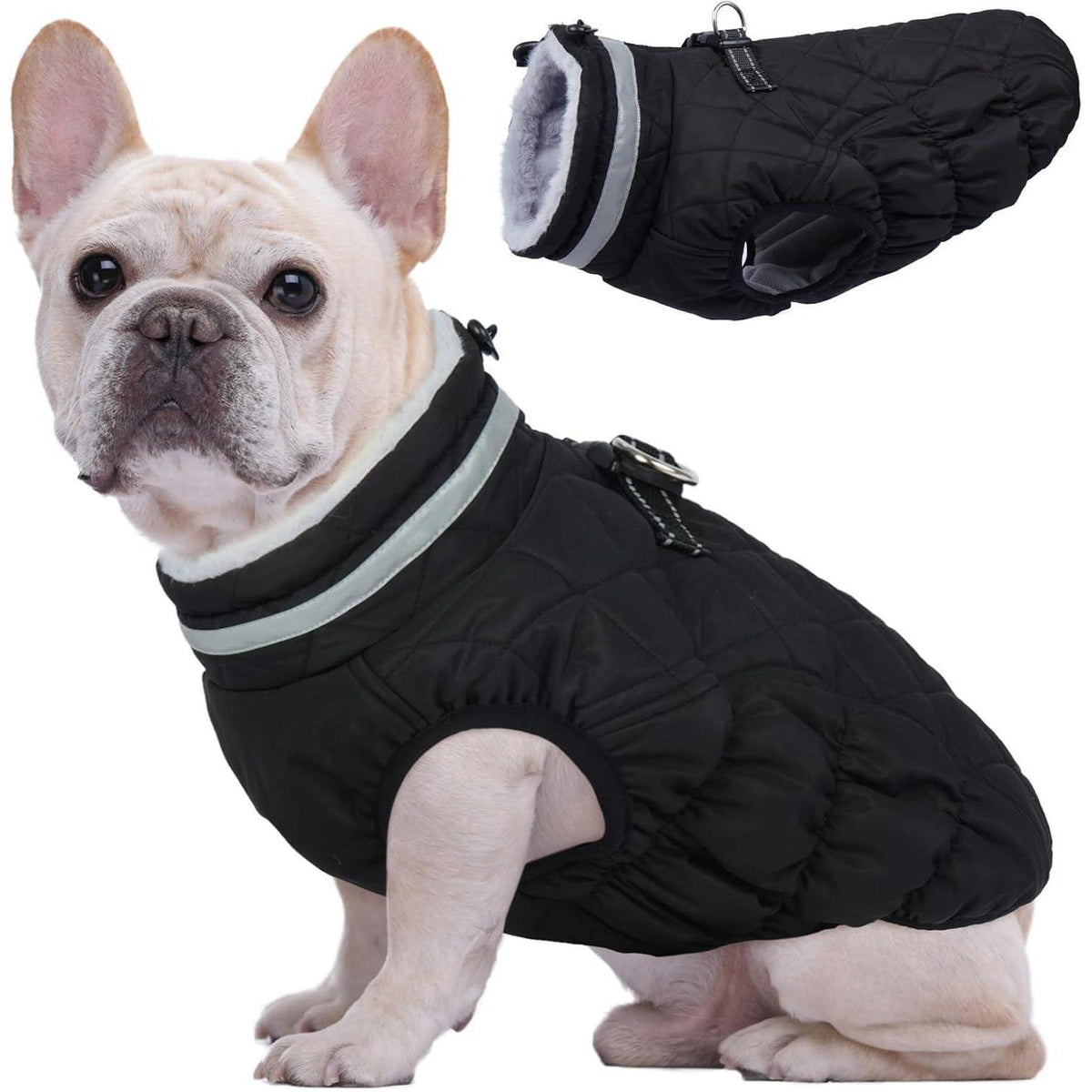 Kuoser Hundemantel Winter Wasserdicht & Winddicht Schwarz XS