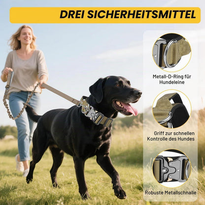Taktisches Hundehalsband mit Leine – Robust & Verstellbar (Khaki, L)