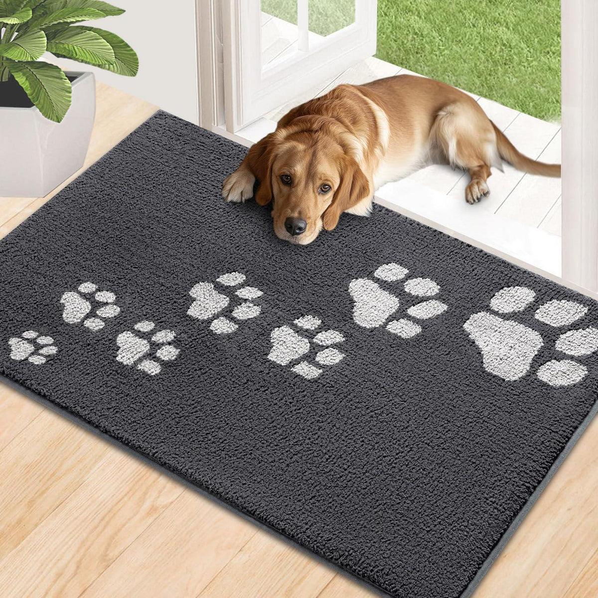 Schmutzfangmatte Grau 60x90 cm – Rutschfest & Wasserabsorbierend