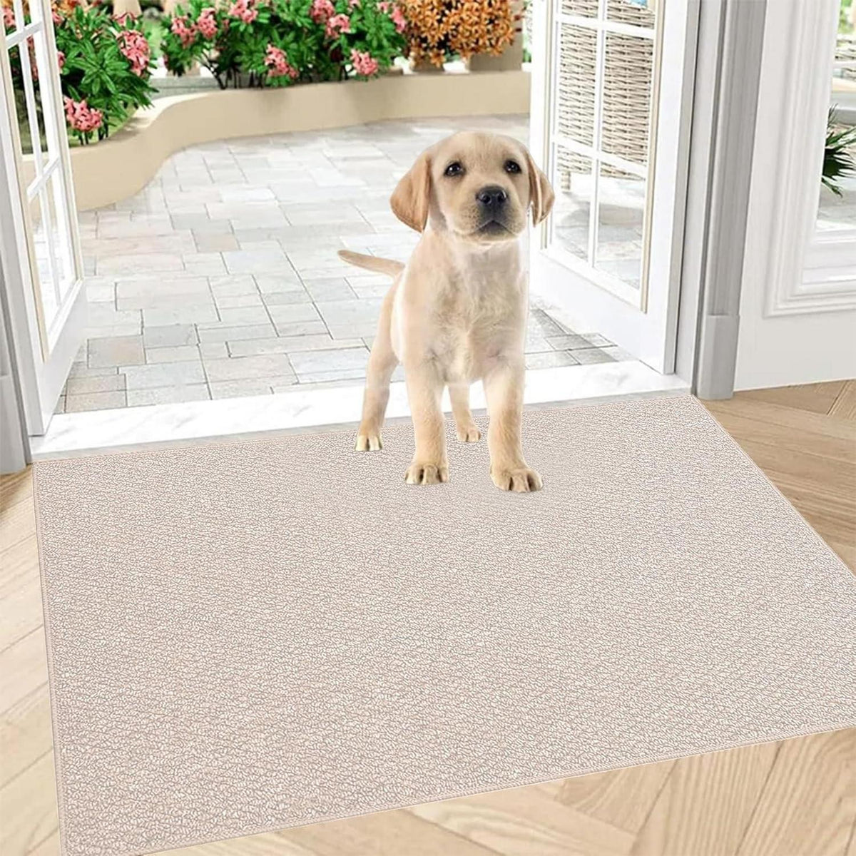 Schmutzfangmatte 60x90 cm – Rutschfest & Waschbar