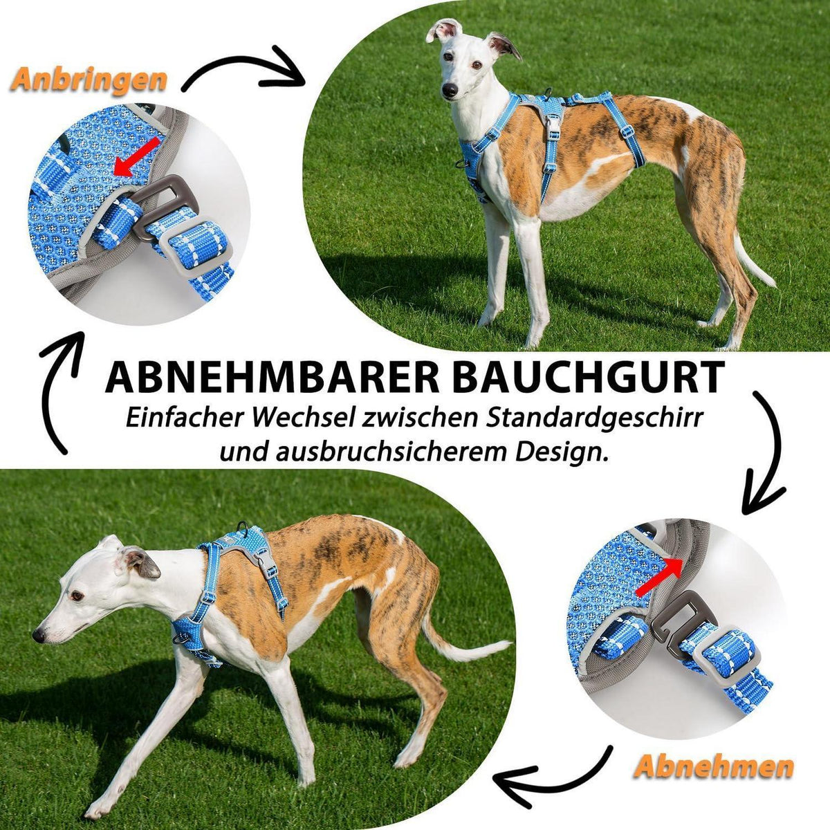 Sicherheitsgeschirr Hund Ausbruchsicher & Reflektierend – Größe M, Meeresblau