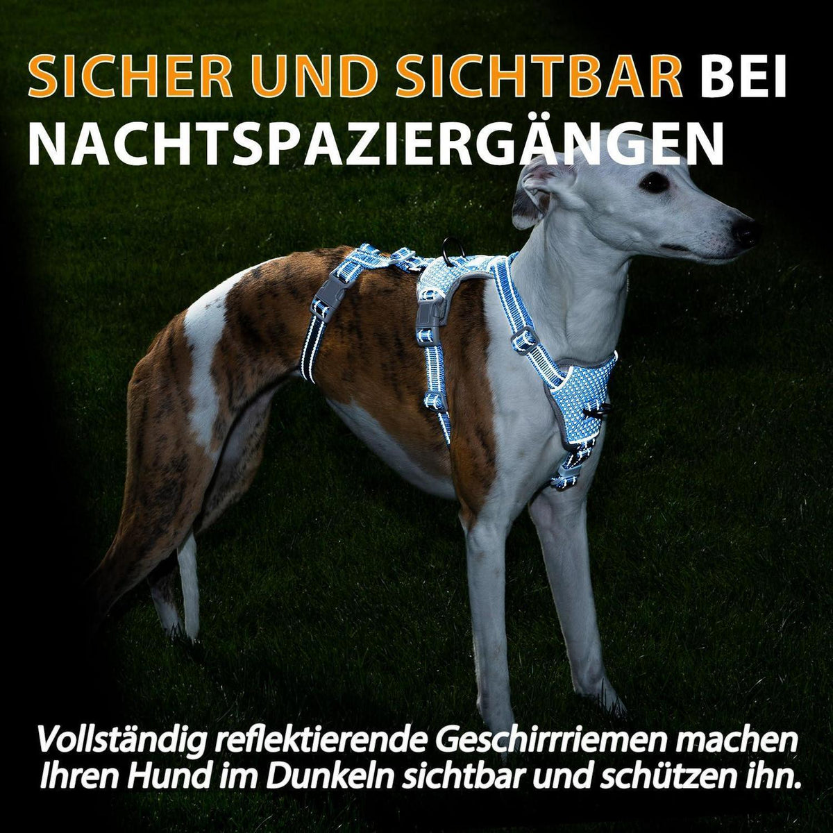 Sicherheitsgeschirr Hund Ausbruchsicher & Reflektierend – Größe M, Meeresblau