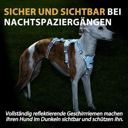 Sicherheitsgeschirr Hund Ausbruchsicher & Reflektierend – Größe M, Meeresblau
