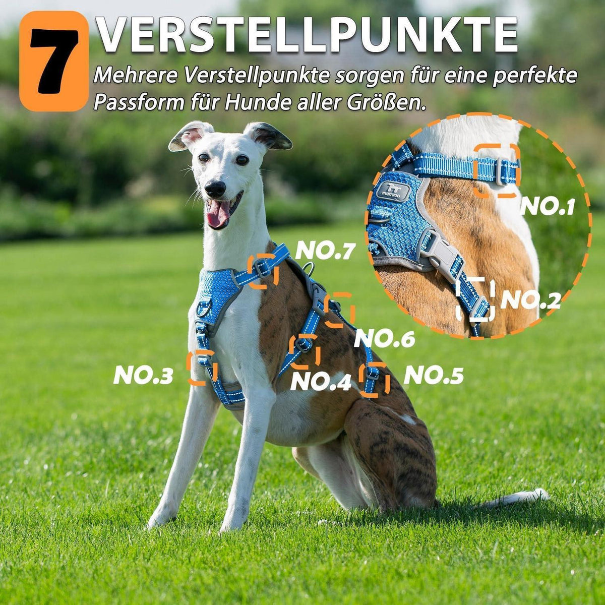 Sicherheitsgeschirr Hund Ausbruchsicher & Reflektierend – Größe M, Meeresblau