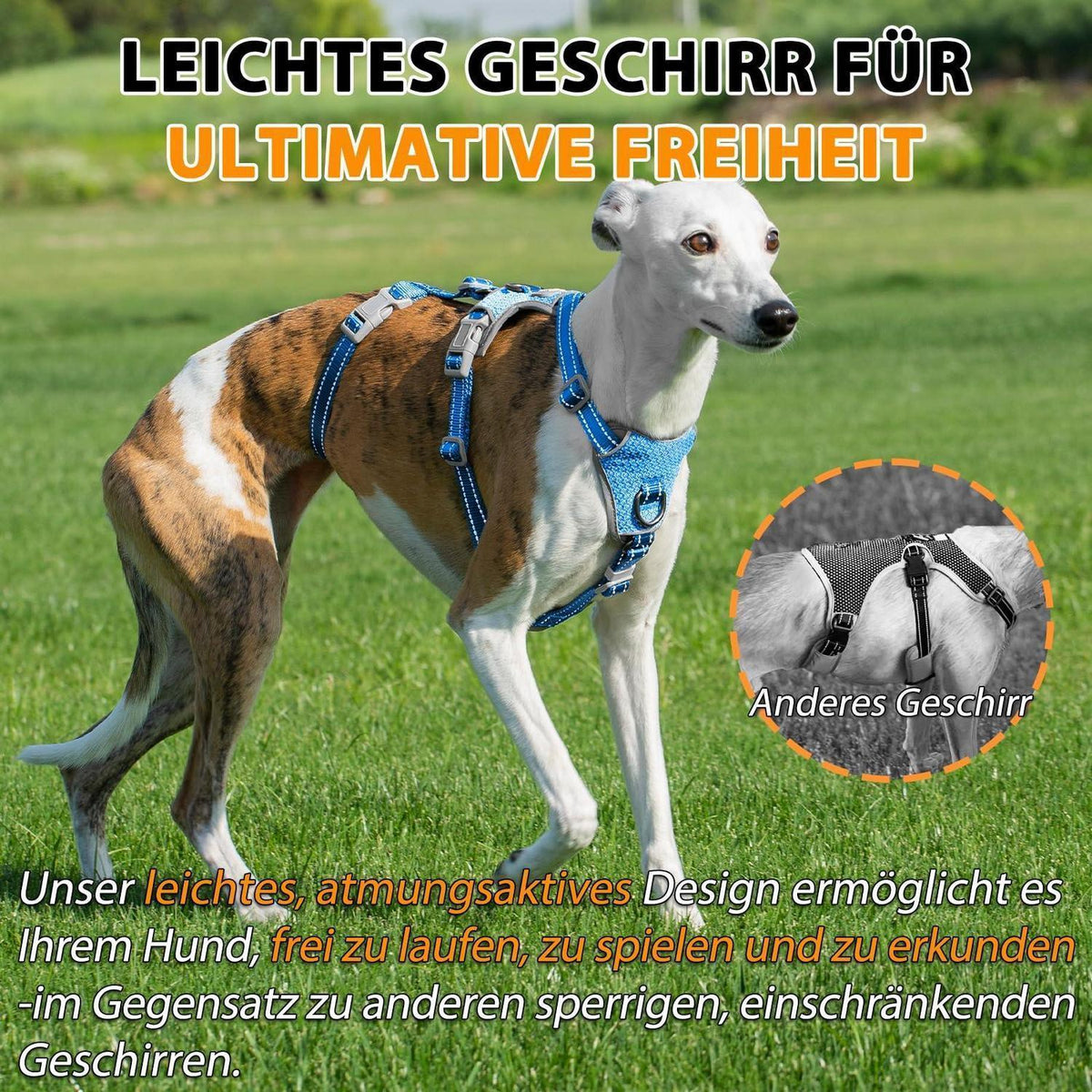 Sicherheitsgeschirr Hund Ausbruchsicher & Reflektierend – Größe M, Meeresblau