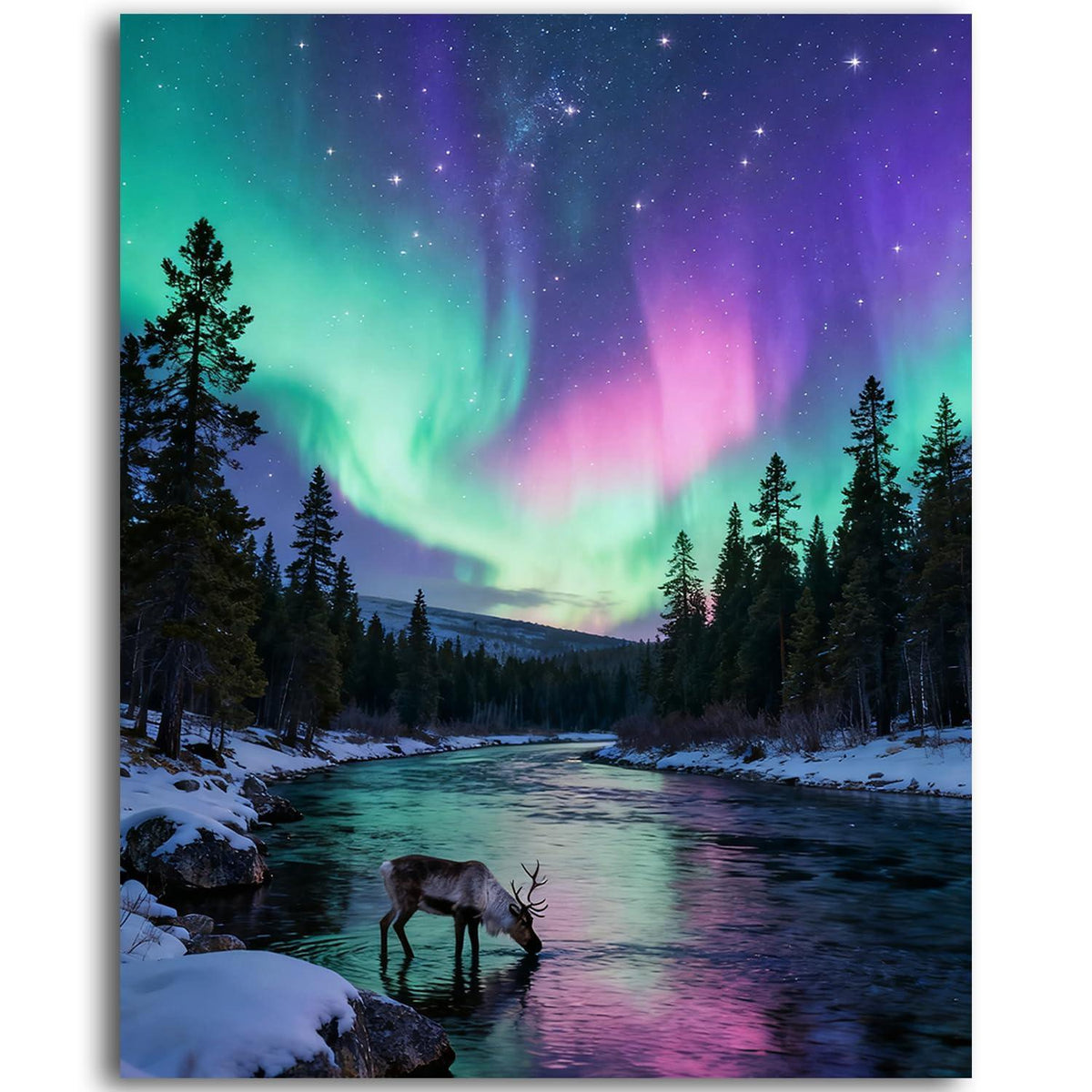 Malen nach Zahlen Landschaft Nordlicht 40x50cm DIY Set