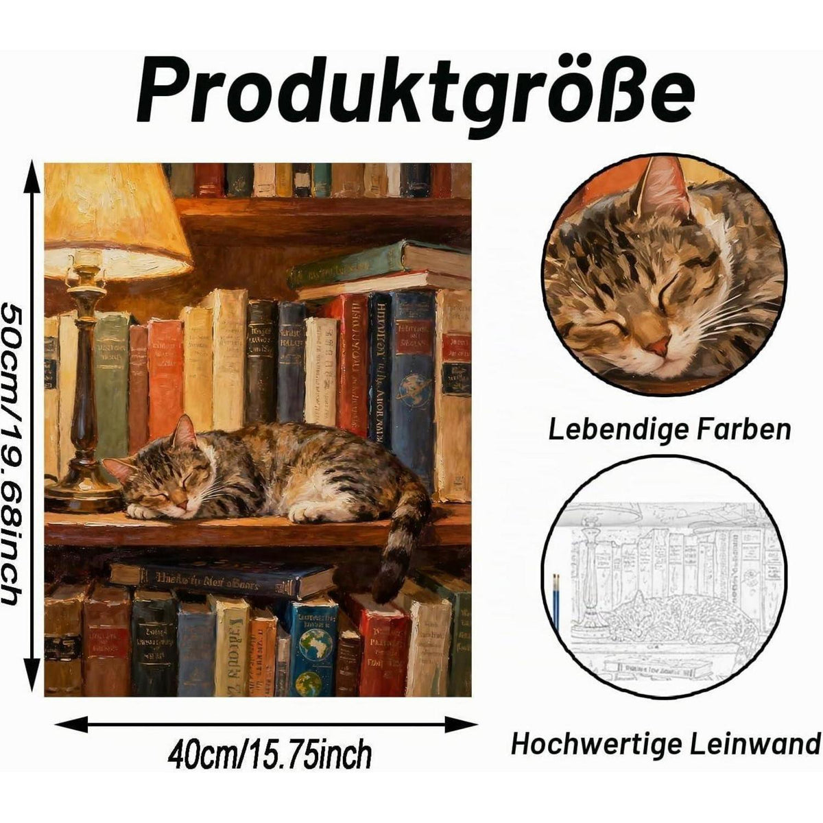 Malen nach Zahlen Erwachsene Faule Katze 40x50cm