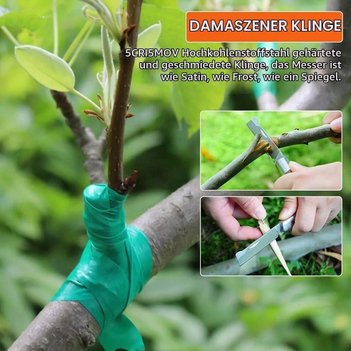 Gartenmesser 2-fach mit Okuliermesser für Veredelung & Beschneiden