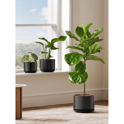 Keramik Blumentopf 25cm mit Untersetzer & Drainageloch, Schwarz
