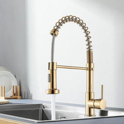 Goldene Küchenarmatur mit Auszug & 2 Sprühfunktionen
