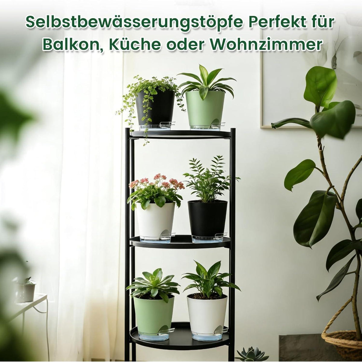 Selbstbewässerungstöpfe 5er Set mit Wasseranzeige