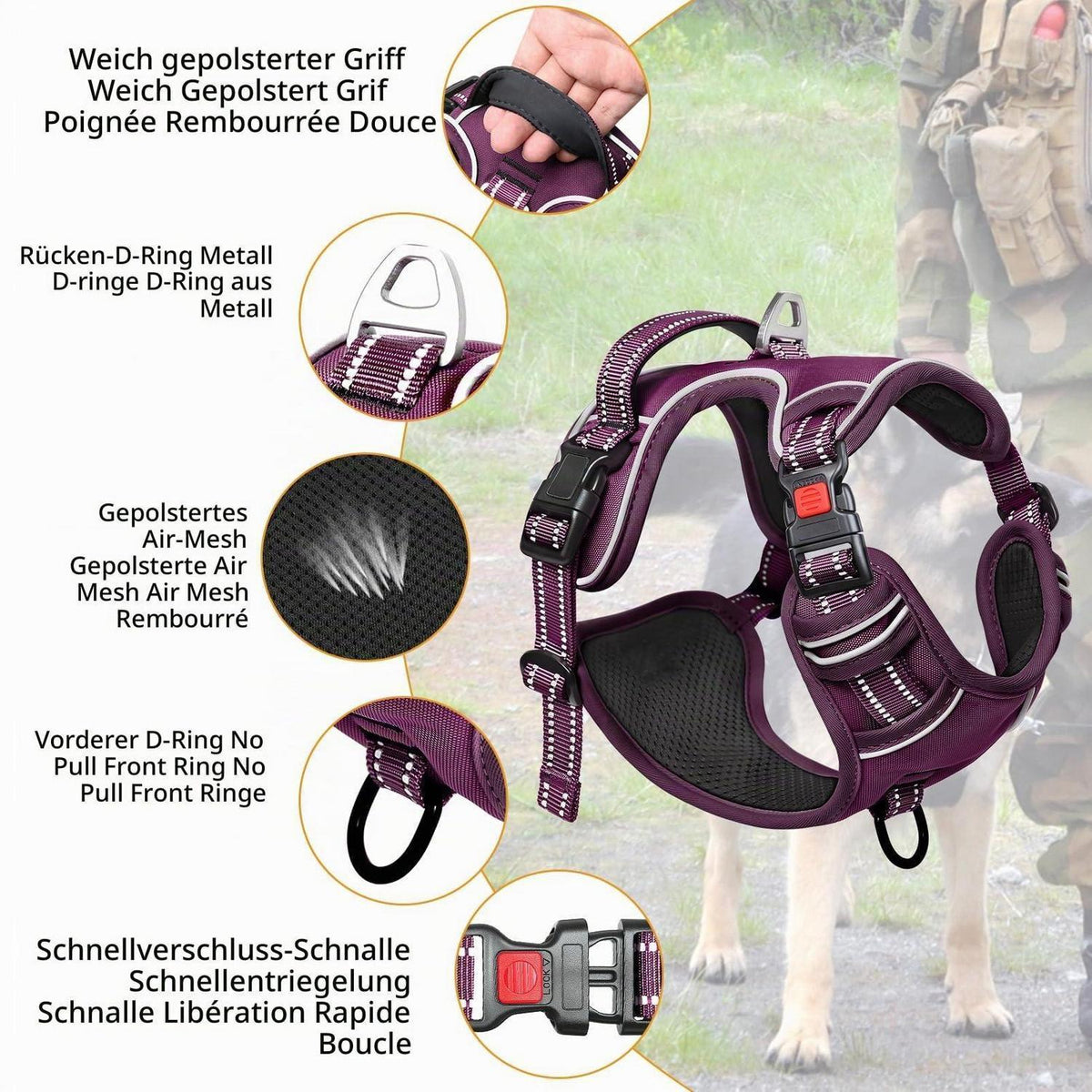 HEELE Hundegeschirr abschließbar Lila S - Brustumfang 35-61cm