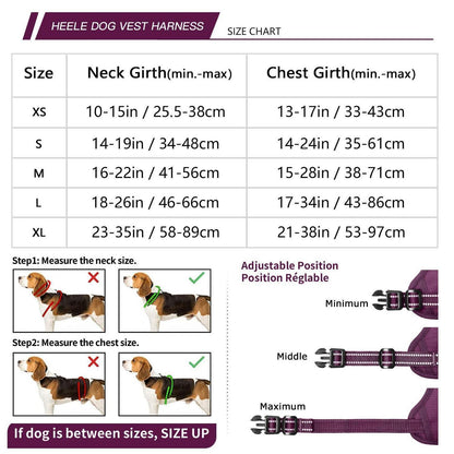 HEELE Hundegeschirr abschließbar Lila S - Brustumfang 35-61cm