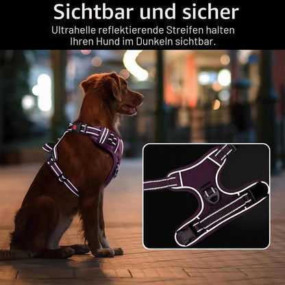 HEELE Hundegeschirr abschließbar Lila S - Brustumfang 35-61cm