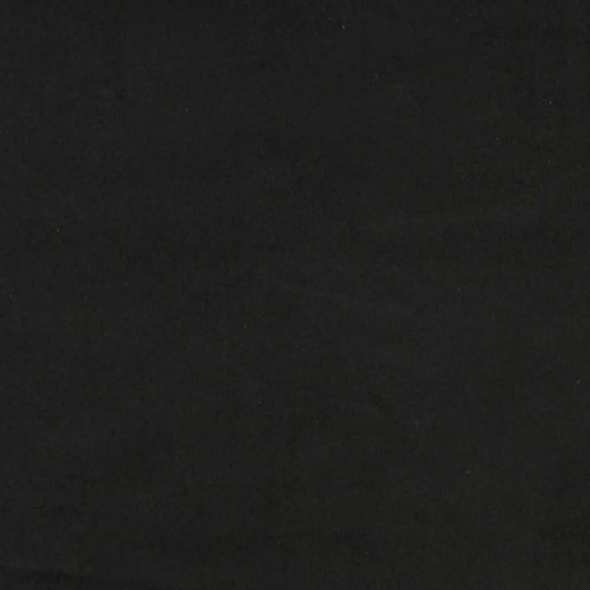 2-Sitzer Sofa Samt Schwarz – Modernes Mini Sofa mit Kissen