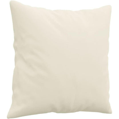 2-Sitzer Sofa Creme – Samt Couch mit Kissen & Armlehnen