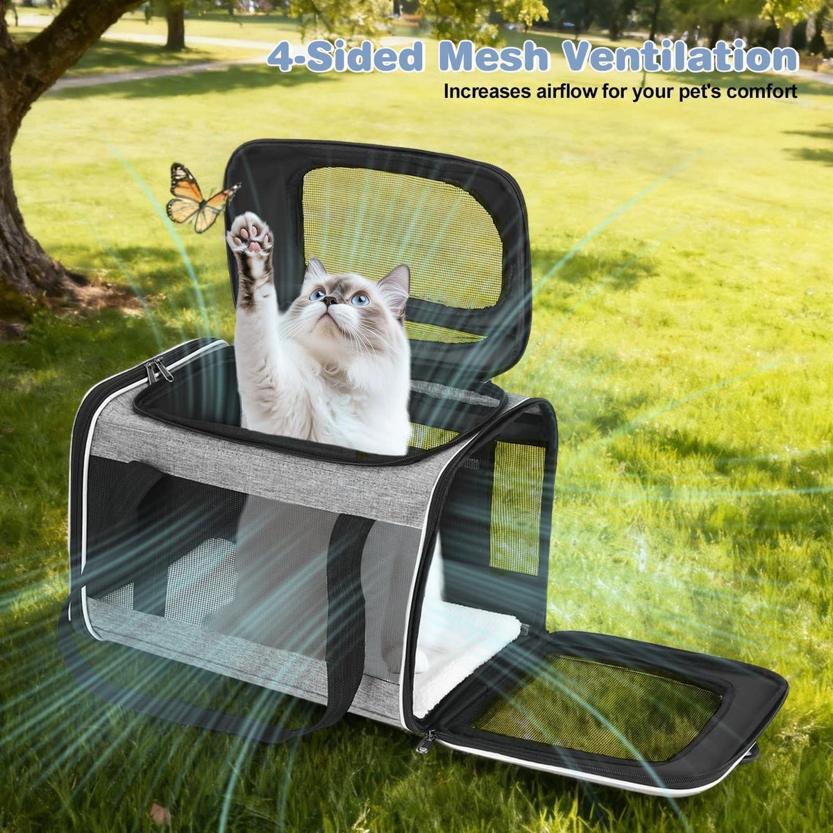 Faltbare Katzen Transportbox mit Mesh & Matte – Bis 9kg