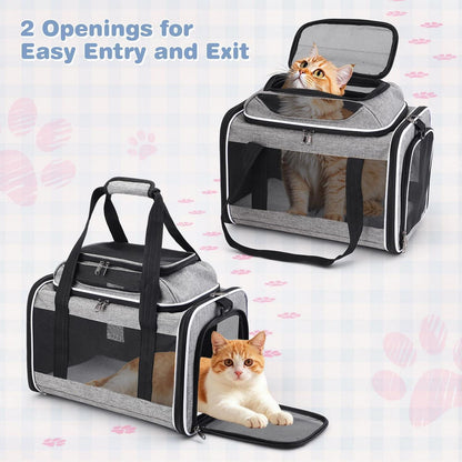 Faltbare Katzen Transportbox mit Mesh & Matte – Bis 9kg