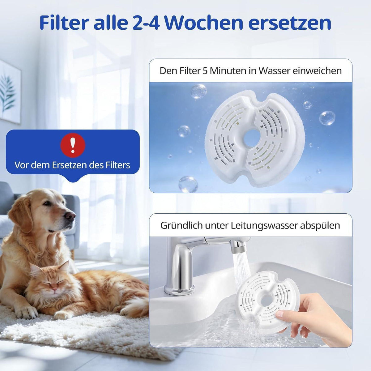 Katzenbrunnen Filter 12er-Pack – 2L Trinkbrunnen