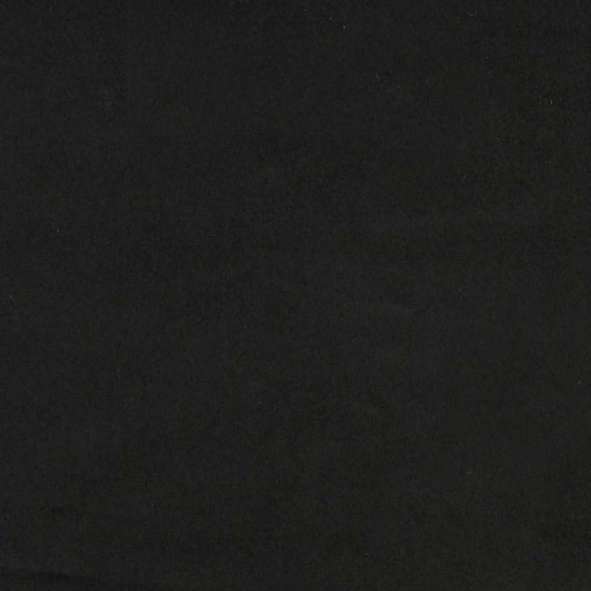 2-Sitzer Samtsofa Loveseat Schwarz – Modernes Polstersofa