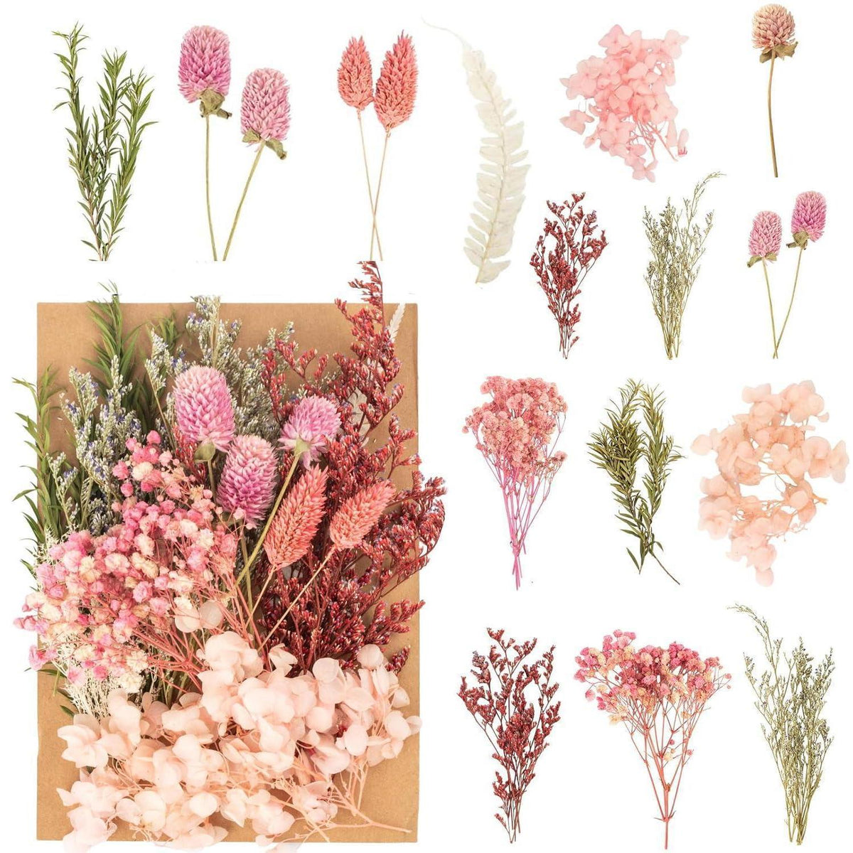 Getrocknete Blumen Set – Pink für DIY Deko & Basteln