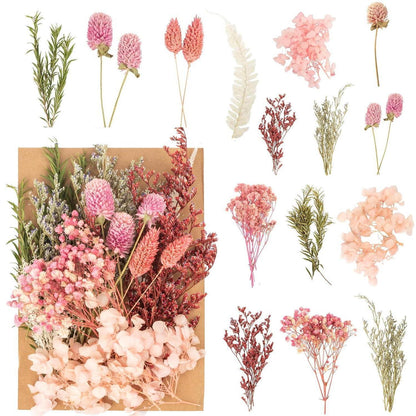 Getrocknete Blumen Set – Pink für DIY Deko & Basteln