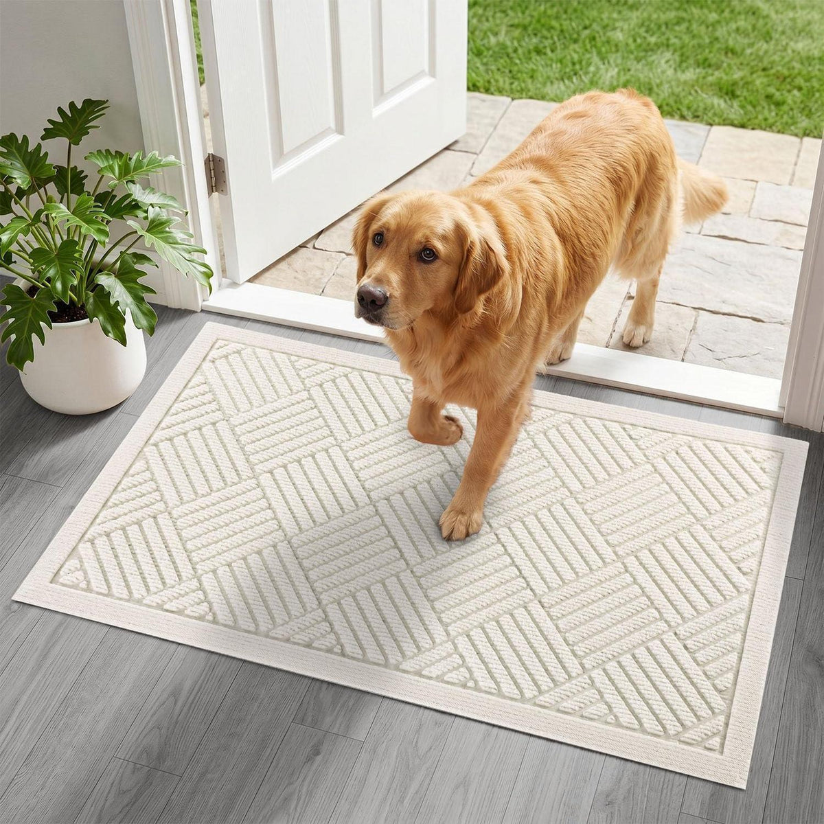 Schmutzfangmatte Creme 43x75 cm – Waschbare Fußmatte für Innen & Außen