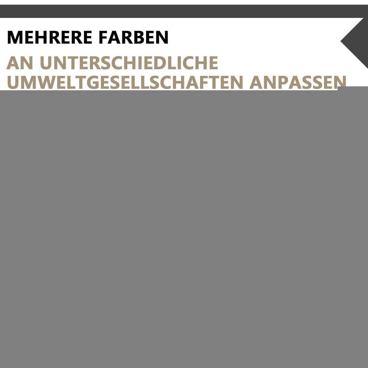 Konferenztisch groß mit Kabeldurchführung – Modern & Stabil