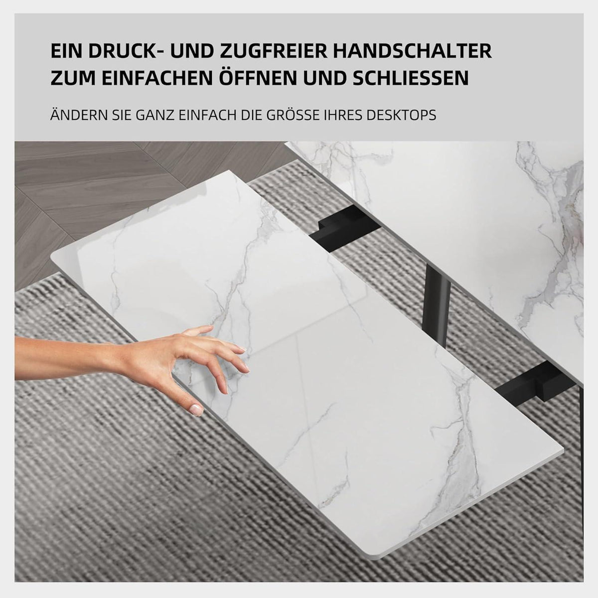 Essgruppe modern, ausziehbar (10 Stühle)