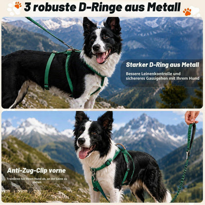 Ausbruchsicheres Hundegeschirr mit Griff – Dunkelgrün, M