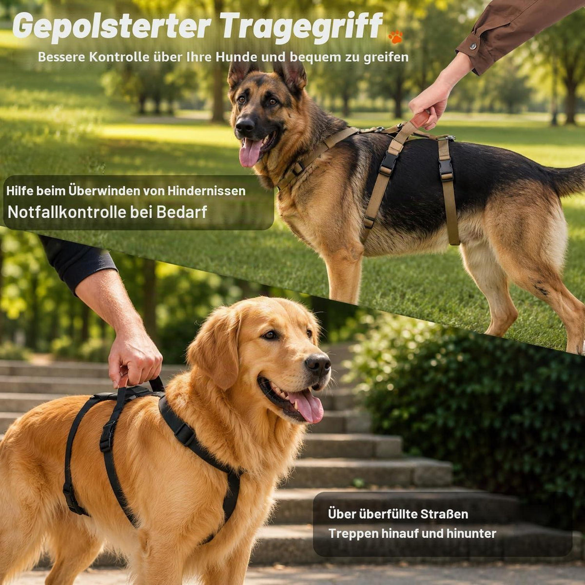 Ausbruchsicheres Hundegeschirr mit Griff – Dunkelgrün, M