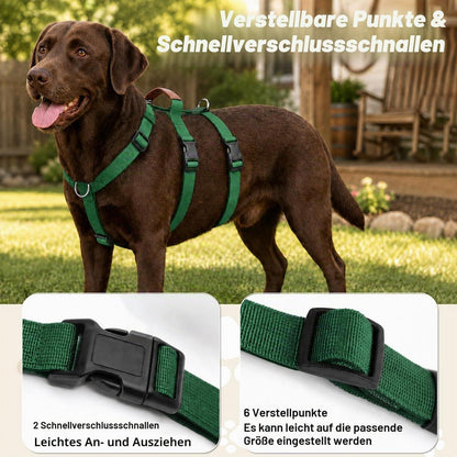 Ausbruchsicheres Hundegeschirr mit Griff – Dunkelgrün, M