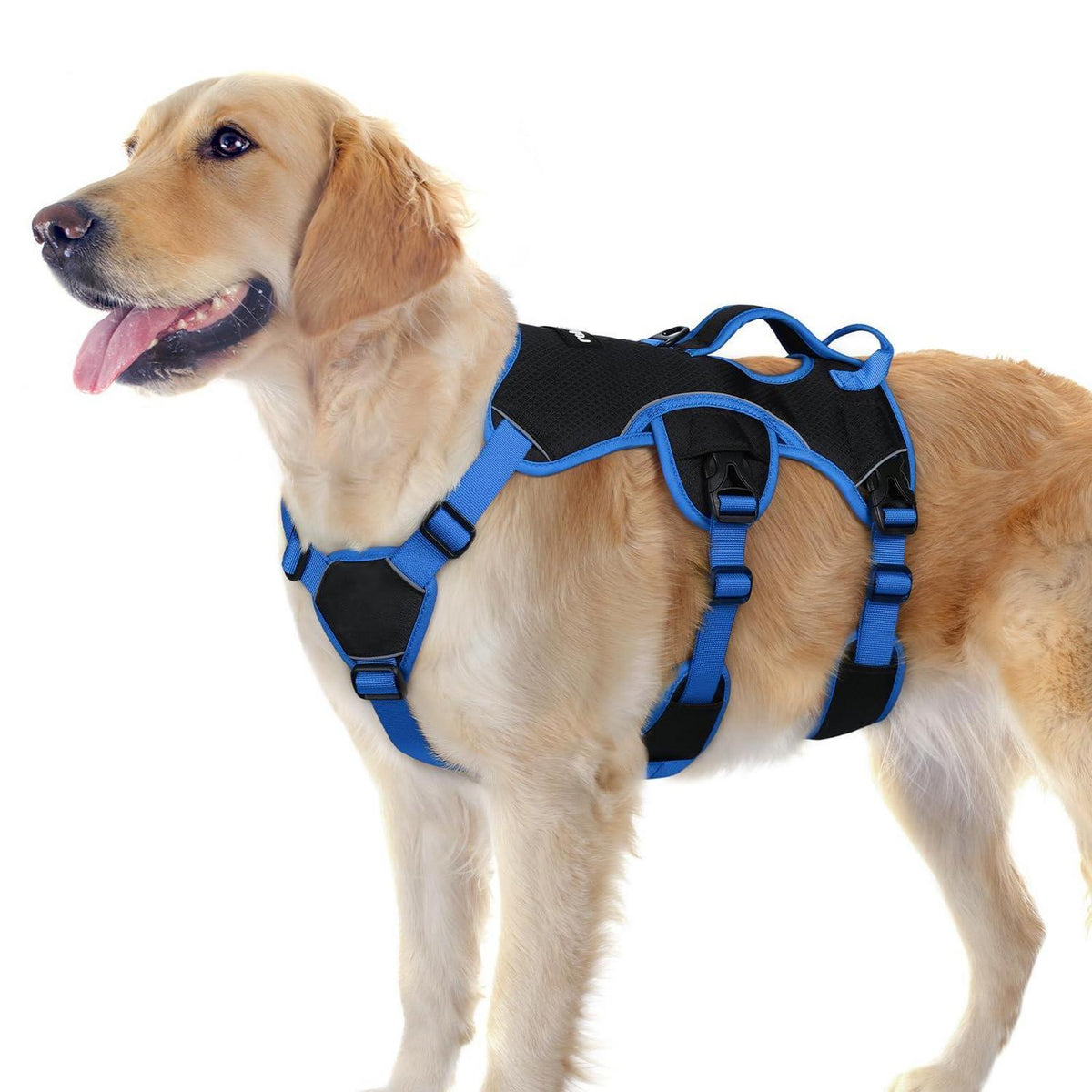 Hundegeschirr Brustgeschirr Groß Hunde Schwarz & Marineblau L