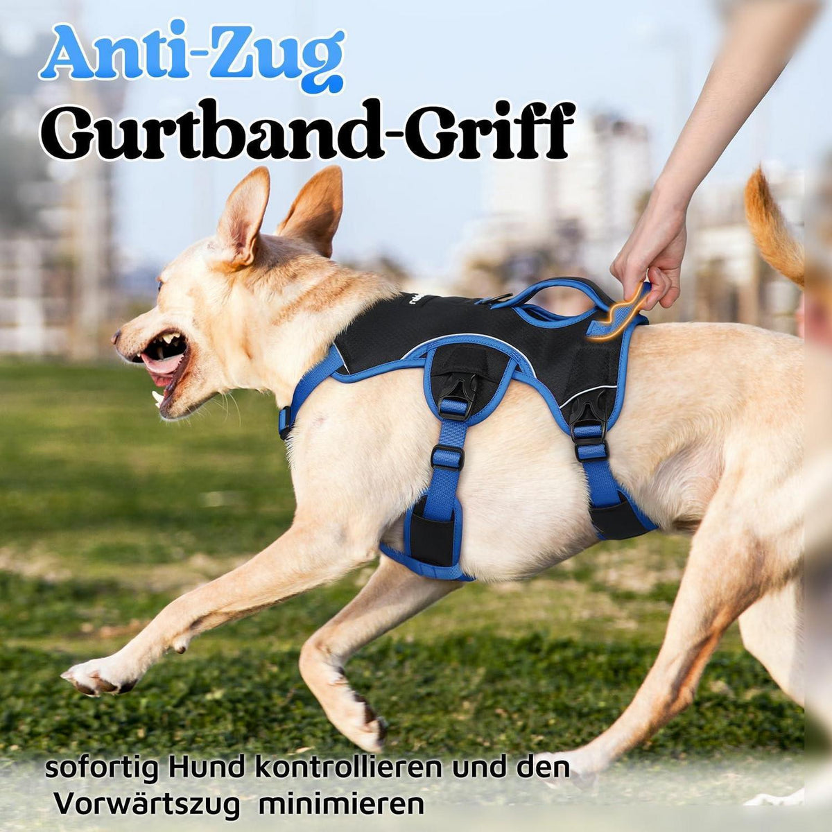 Hundegeschirr Brustgeschirr Groß Hunde Schwarz & Marineblau L