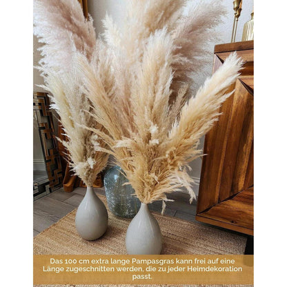 Pampasgras Groß 10er Set - 100cm Boho Deko für Zuhause