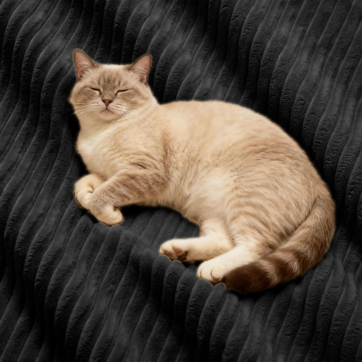 Modulares Ecksofa mit Cord – Tiefes Sitzsofa Schwarz 3C1S