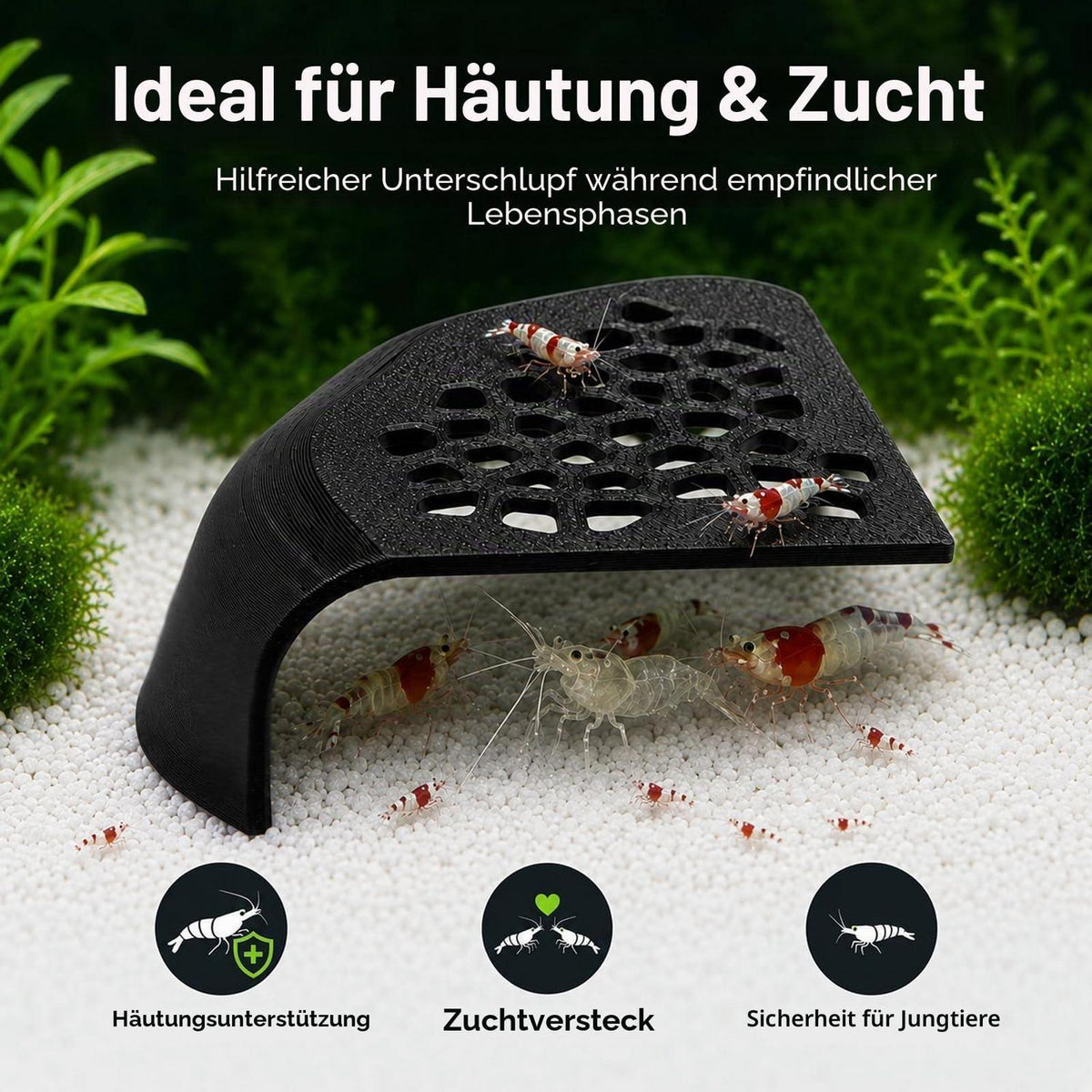 2x Garnelenhöhle Aquarium Deko – Schwarzes Versteck für Garnelen & Jungfische