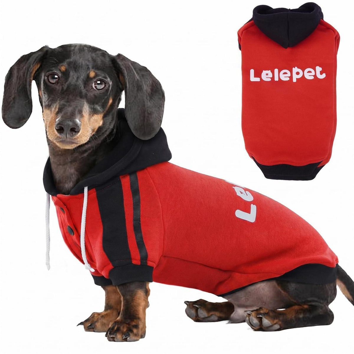 Dackel Hoodie Rot – Welpen Sweatshirt mit Lelepet Druck