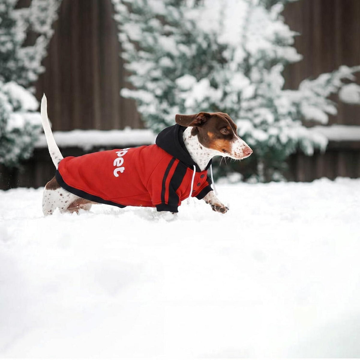 Dackel Hoodie Rot – Welpen Sweatshirt mit Lelepet Druck
