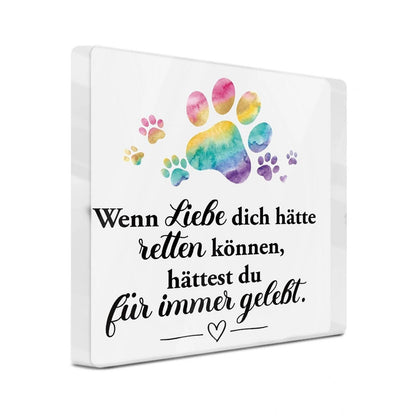 Acryl Gedenkbild für Hund – Pfote Regenbogen & Trauerbotschaft