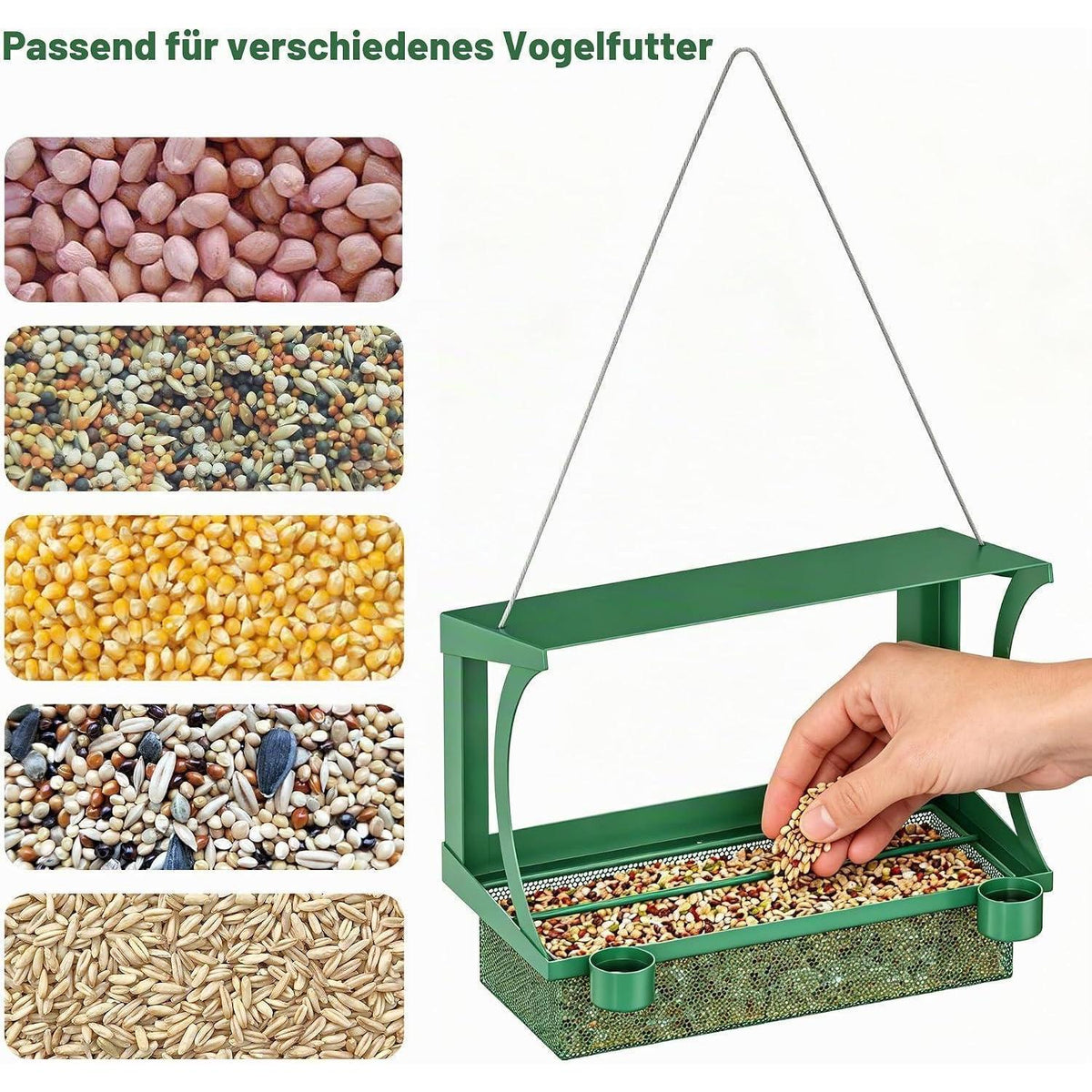 2-in-1 Vogelfutterhaus Fenster & Hängend | Wetterfest & Ohne Bohren